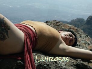 Lilyrosas