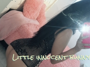 Little_innocent_bunny