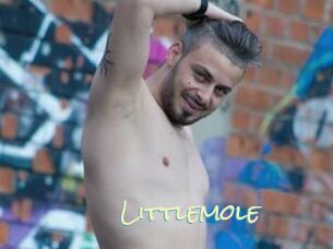 Littlemole