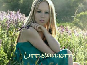 Littlewildkitty