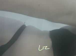 Liz