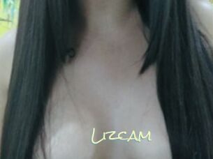 Lizcam