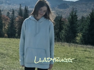 Lladybugg