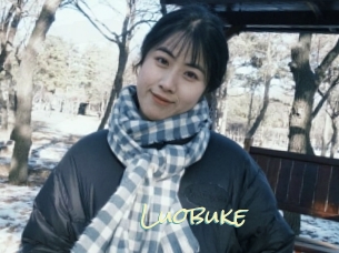 Luobuke