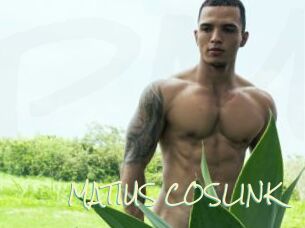 MATIUS_COSLINK