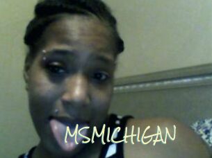 MSMICHIGAN