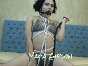 Maca_Gibson