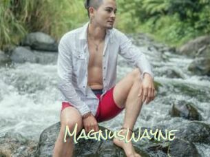 MagnusWayne