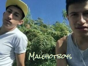 Malehotboys