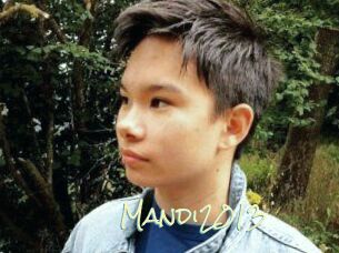 Mandi2013