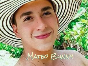 Mateo_Bunny