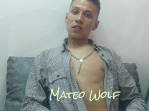 Mateo_Wolf