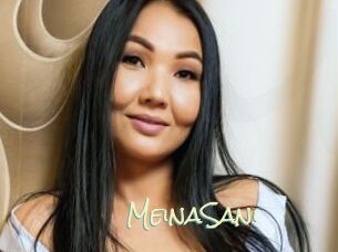 MeinaSani