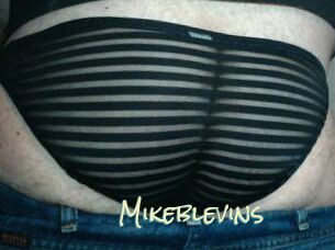 Mikeblevins