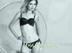 MissOrchidie
