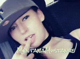 MontanaMustange