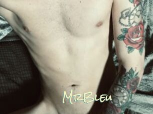 MrBleu