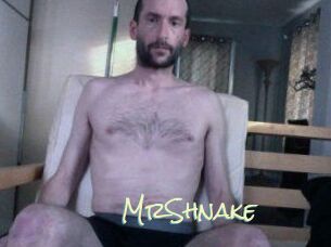 MrShnake
