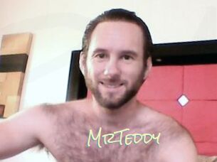 MrTeddy