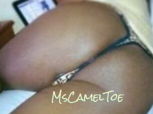 MsCamelToe
