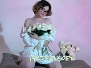Madisonsoft