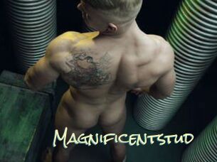 Magnificentstud