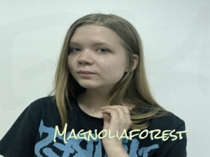 Magnoliaforest