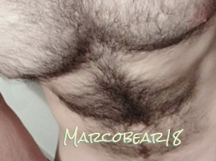Marcobear18