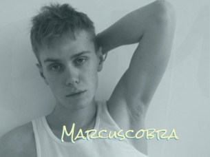 marcuscobra Porn Monkey Cash