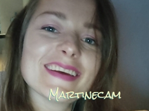 Martinecam