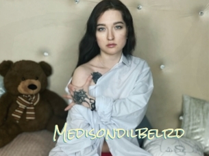 Medisondilbelrd