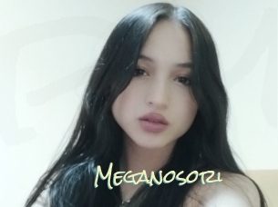 Meganosori