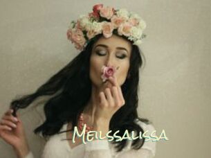 Meilssalissa
