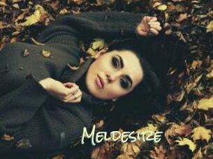 Meldesire