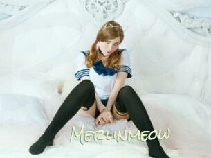 Merlinmeow