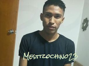 Mestizochino23