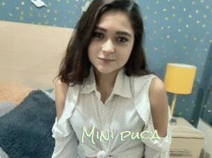 Mini_puca