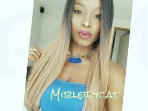 Mirleidycat