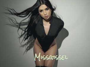 Missgissel