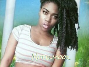 Modelmook