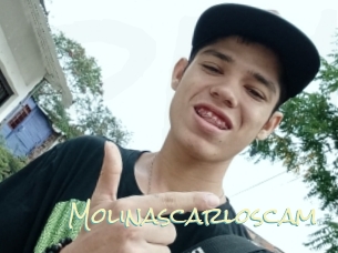 Molinascarloscam