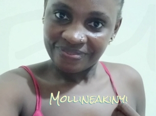 Mollineakinyi