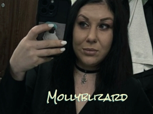 Mollyblizard