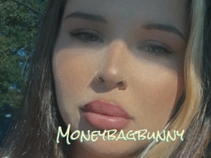 Moneybagbunny