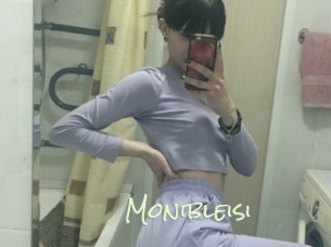 Monibleisi