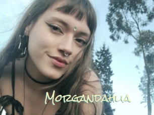 Morgandahlia