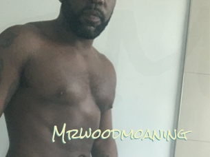 Mrwoodmoaning