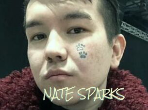 NATE_SPARKS