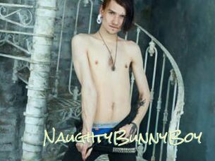 NaughtyBunnyBoy