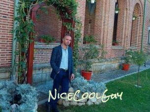 NiceCoolGuy